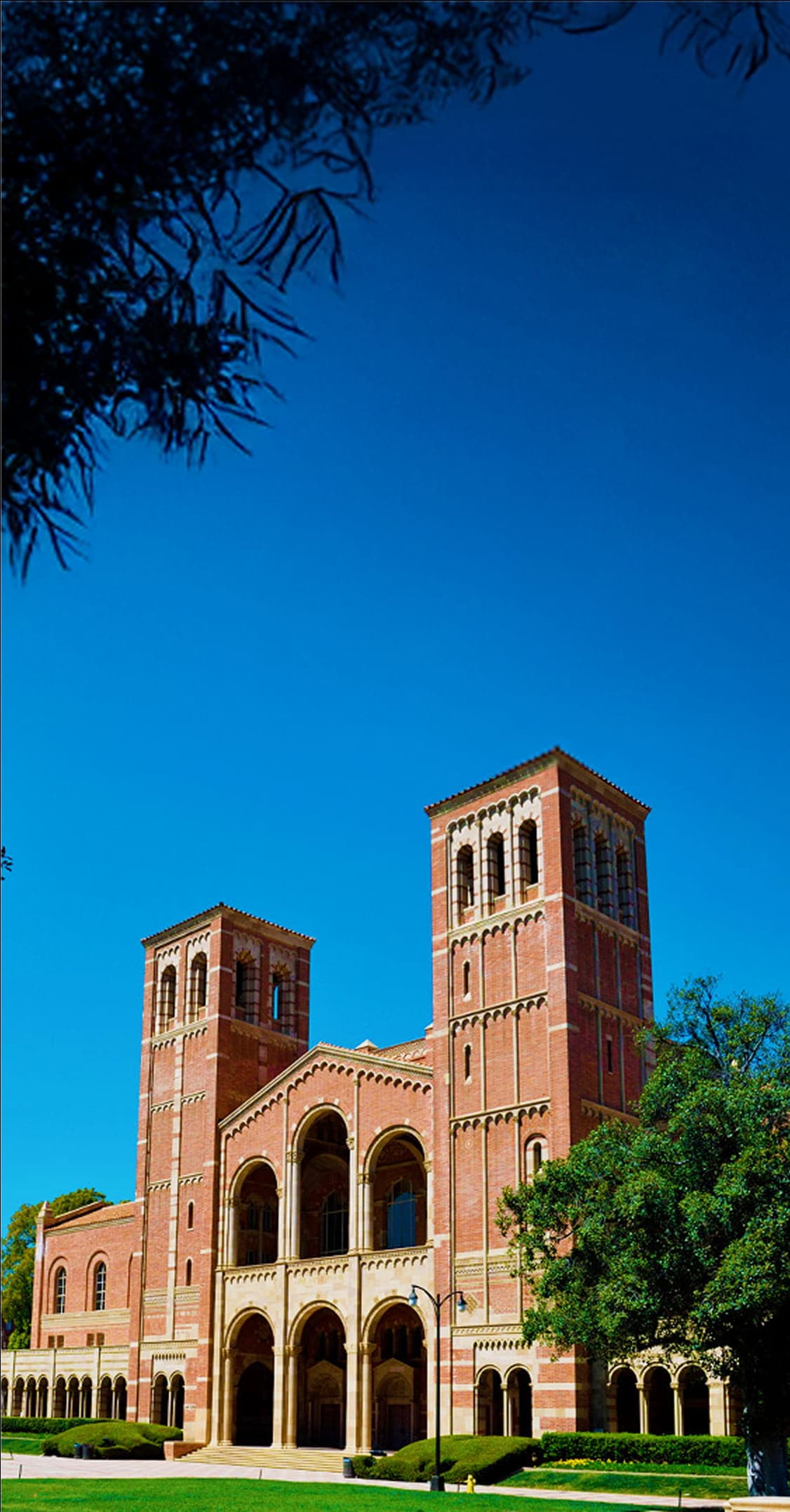 Get into a Top Graduate Program with a Plan That Actually Works