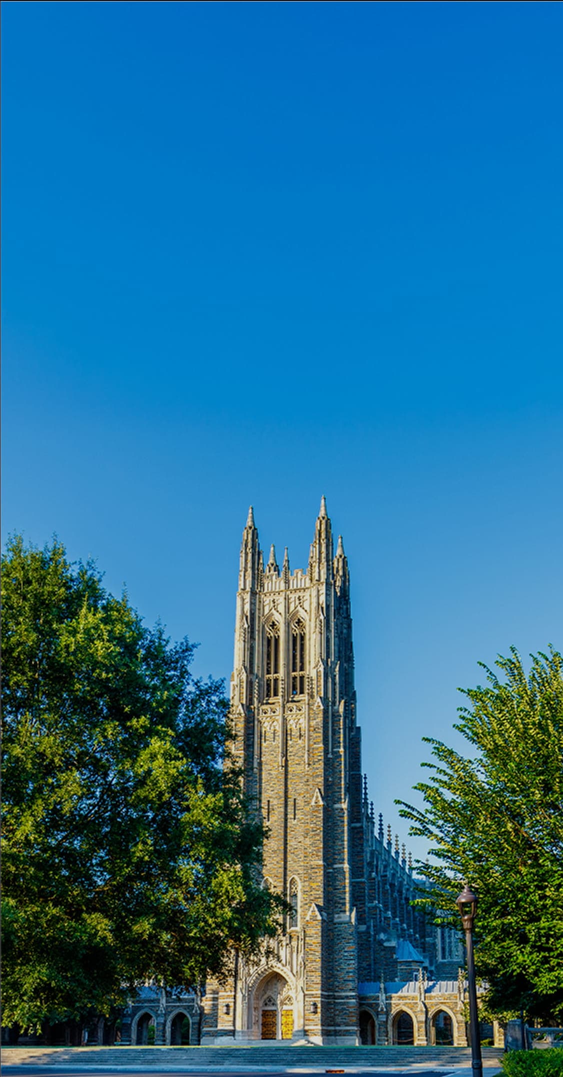 Elite SAT Tutoring for the Best Schools