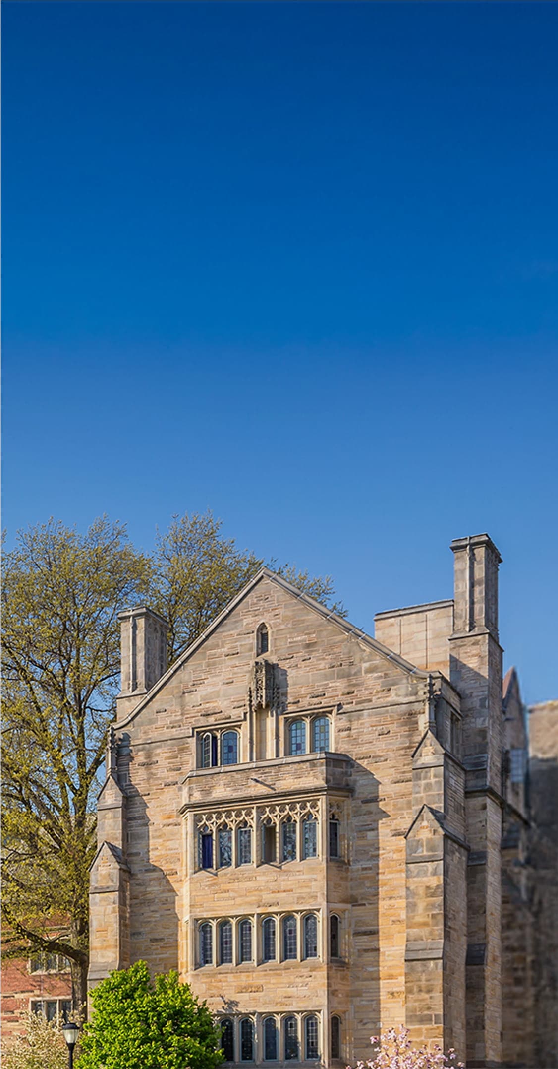 Get to Know Our College Counselors