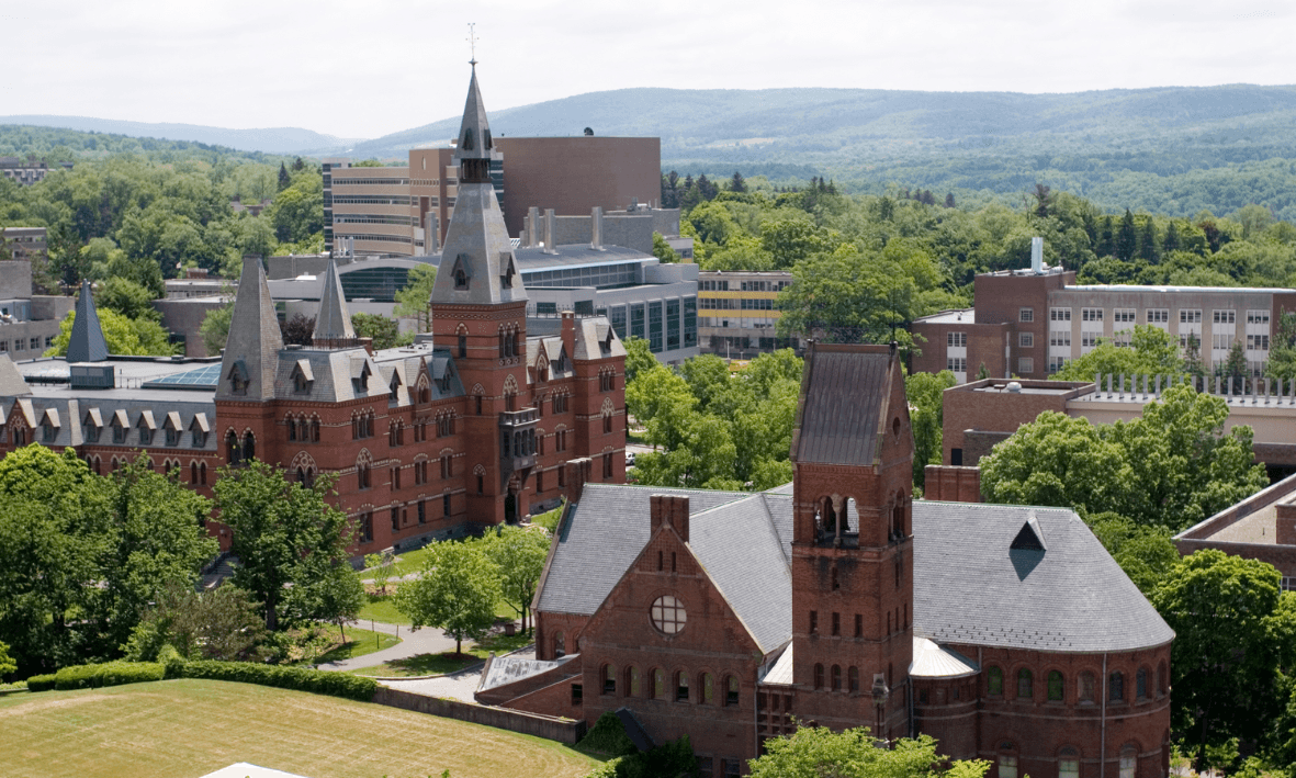 What Are the Best Architecture Schools in the US in 2024?