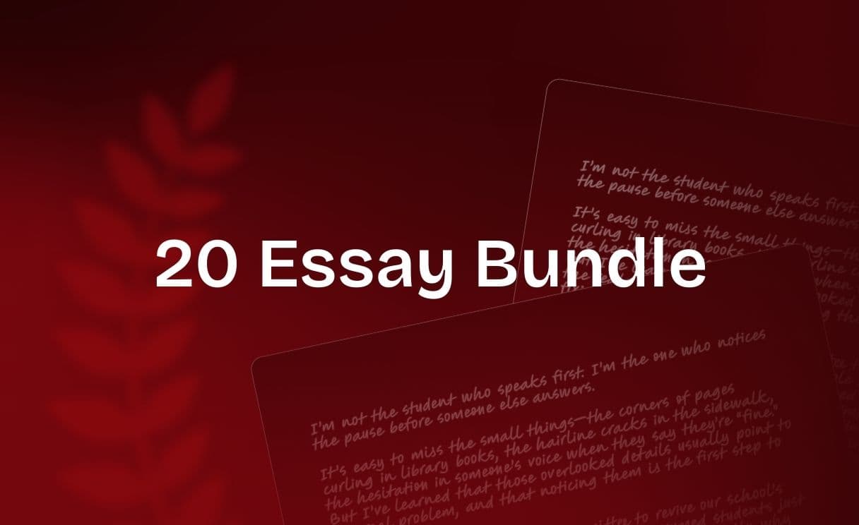 20-essay-bundle