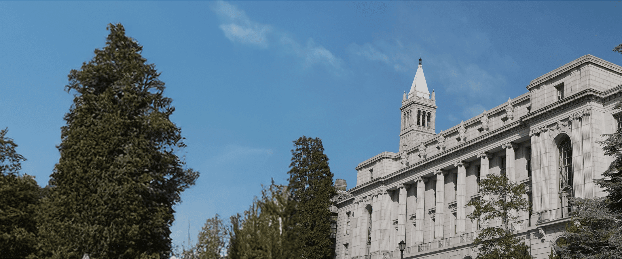 Your Guide to UC Schools Admissions: How To Get Accepted