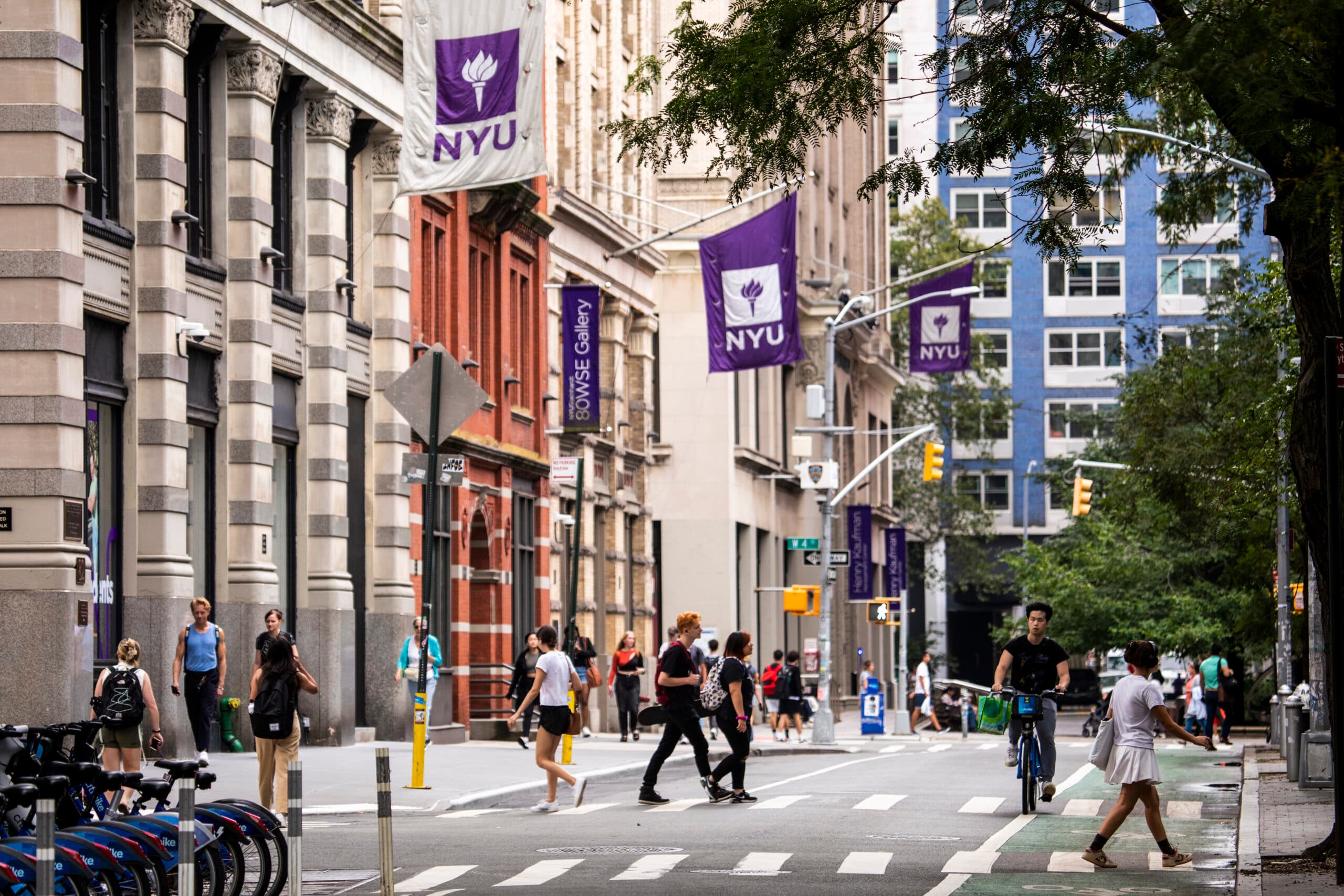 NYU Acceptance Rate for Class of 2029
