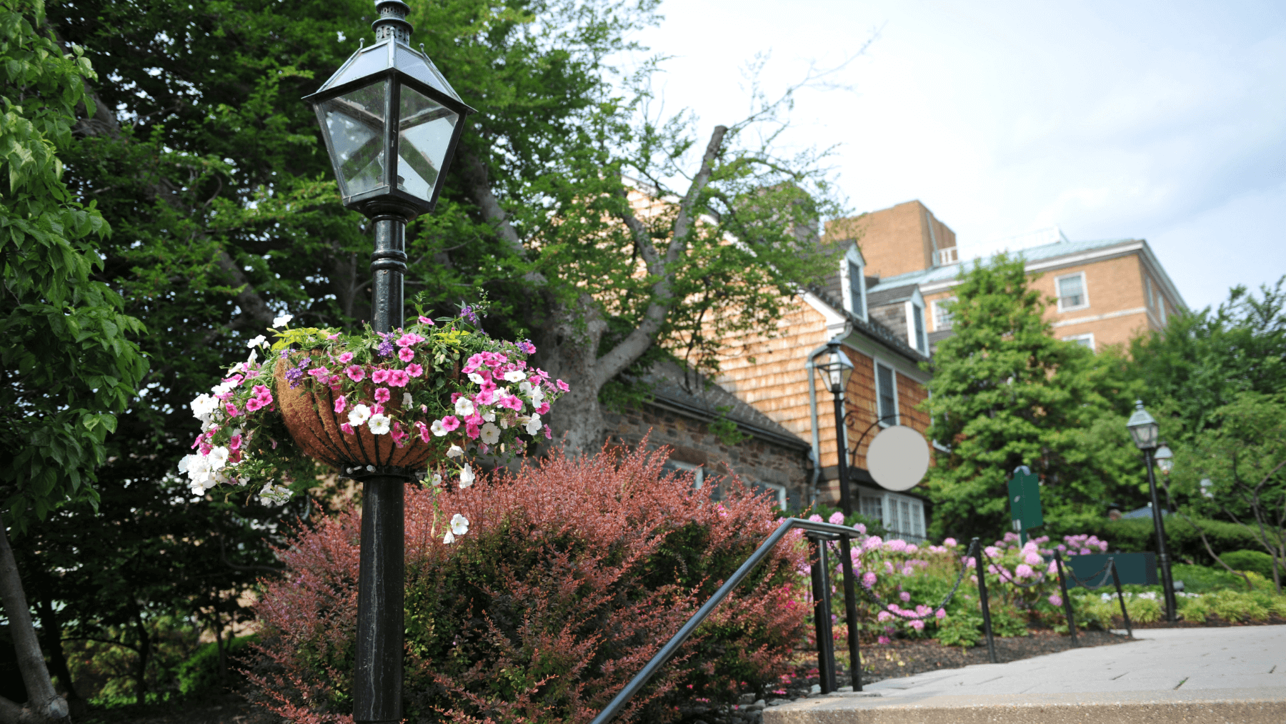 Princeton University