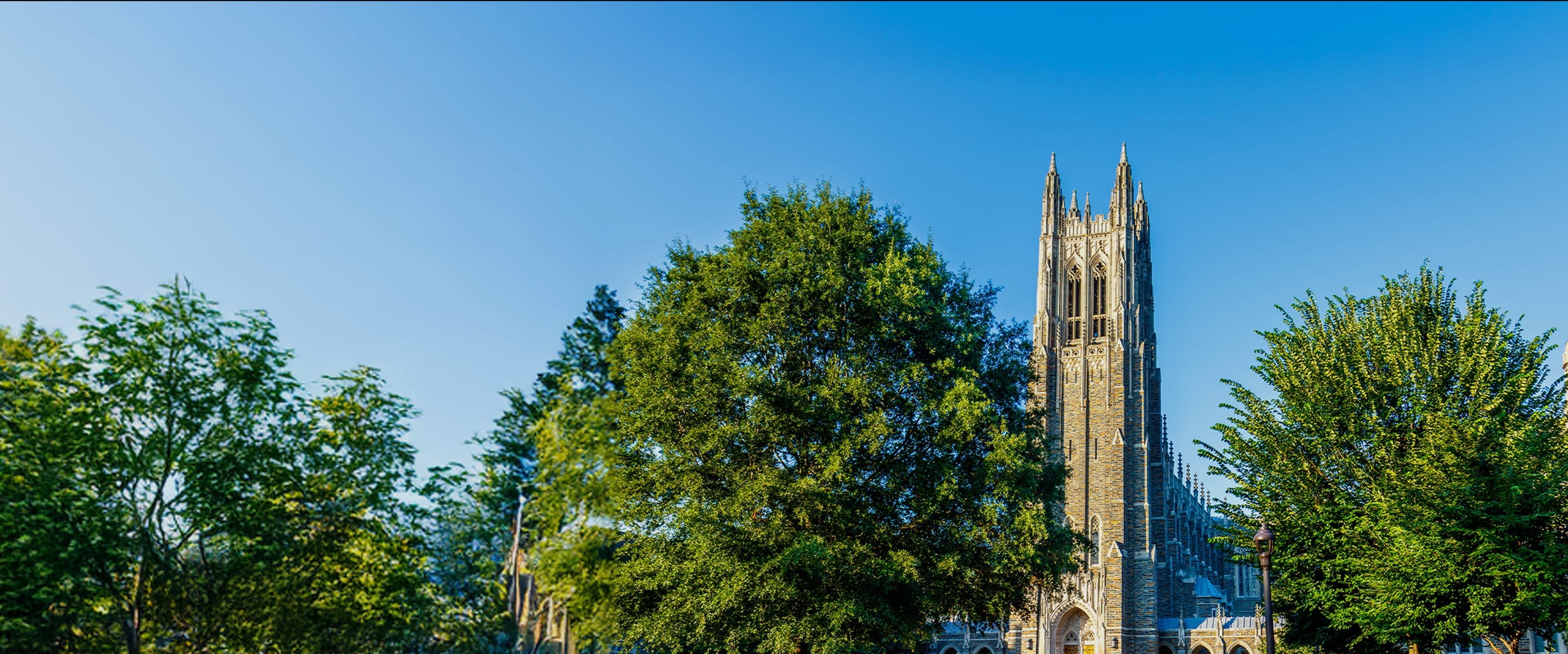 Elite SAT Tutoring for the Best Schools