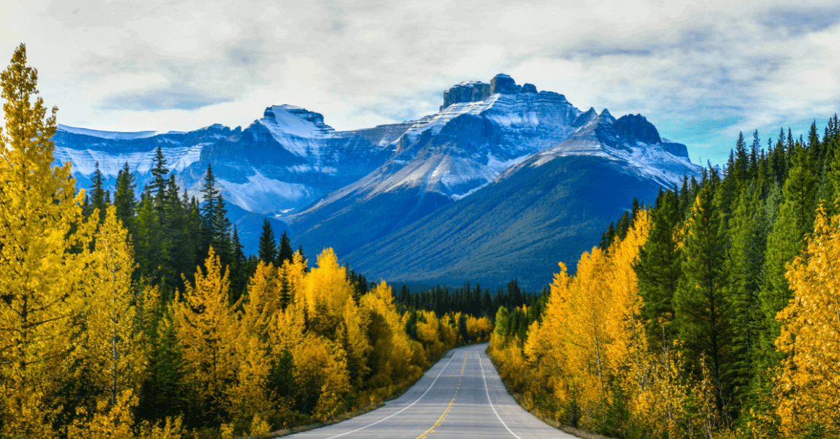 Reasons to Consider Studying in Canada