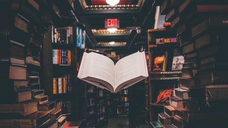 how to make your college application essay standout